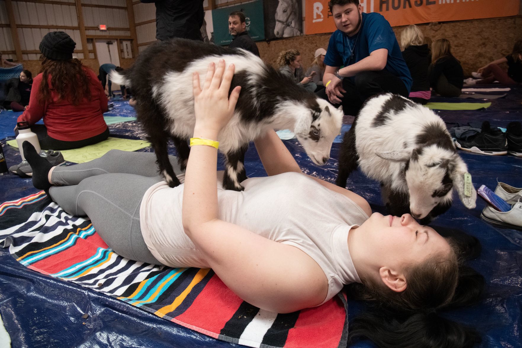 Baby goat yoga at Longmeadow Rescue Ranch